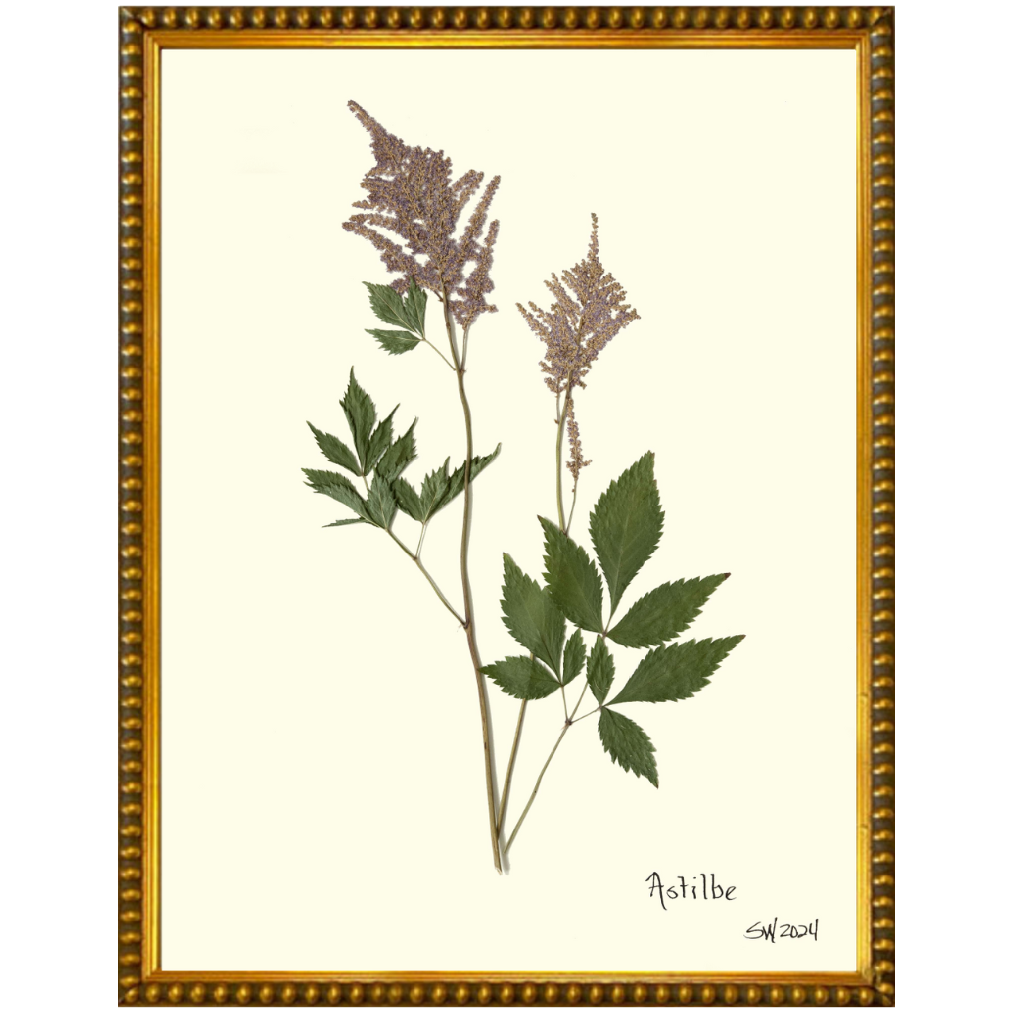 Astilbe-Gold Bead-Sea Green Designs