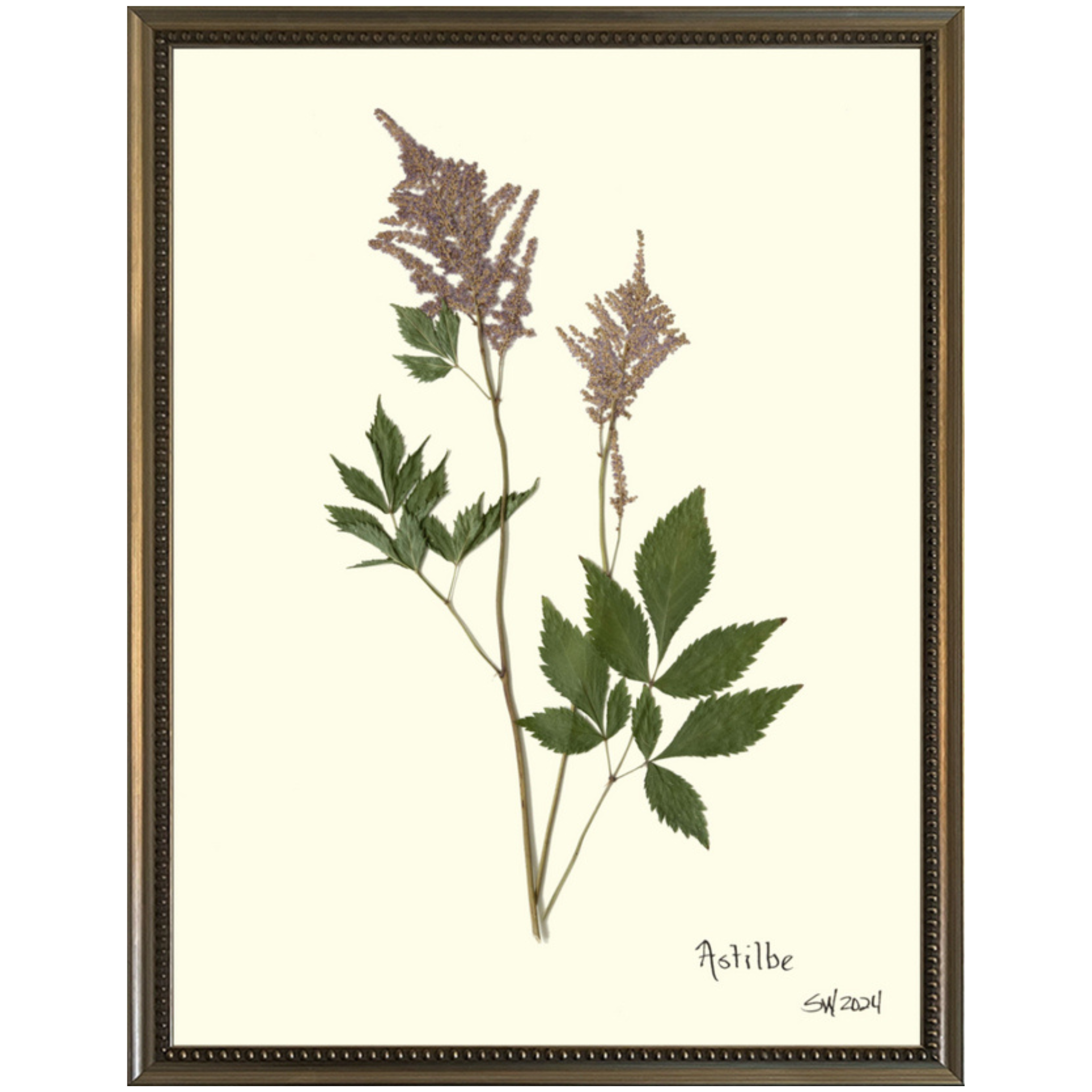 Astilbe-Silver Bead-Sea Green Designs