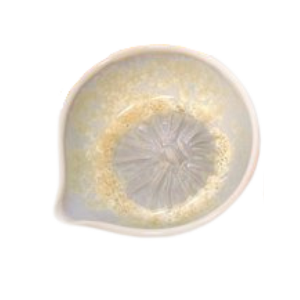 Barnacle Citrus Juicer in Pearl-Sea Green Designs1