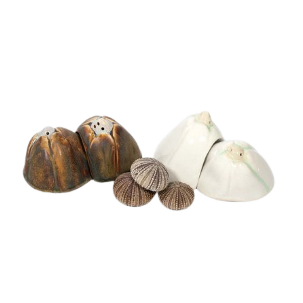 Barnacle Salt & Pepper Shakers in Abalone & Tortoise-Sea Green Designs