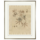 Blue Passion Flower-Sea Green Designs