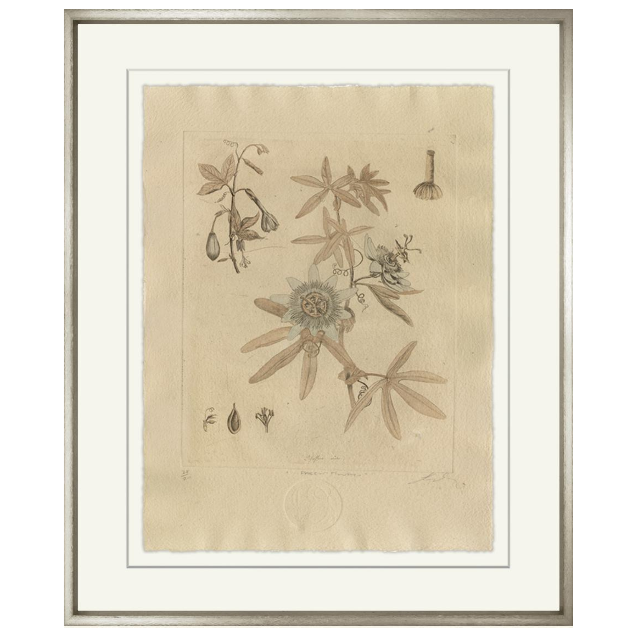Blue Passion Flower-Sea Green Designs