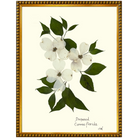 Dogwood-Gold Bead-Sea Green Designs