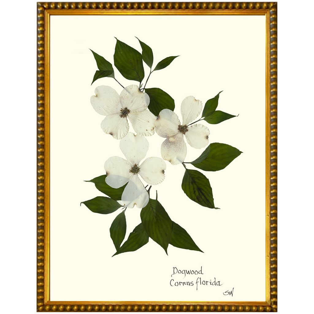 Dogwood-Gold Bead-Sea Green Designs