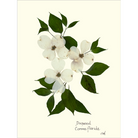 Dogwood-Sea Green Designs