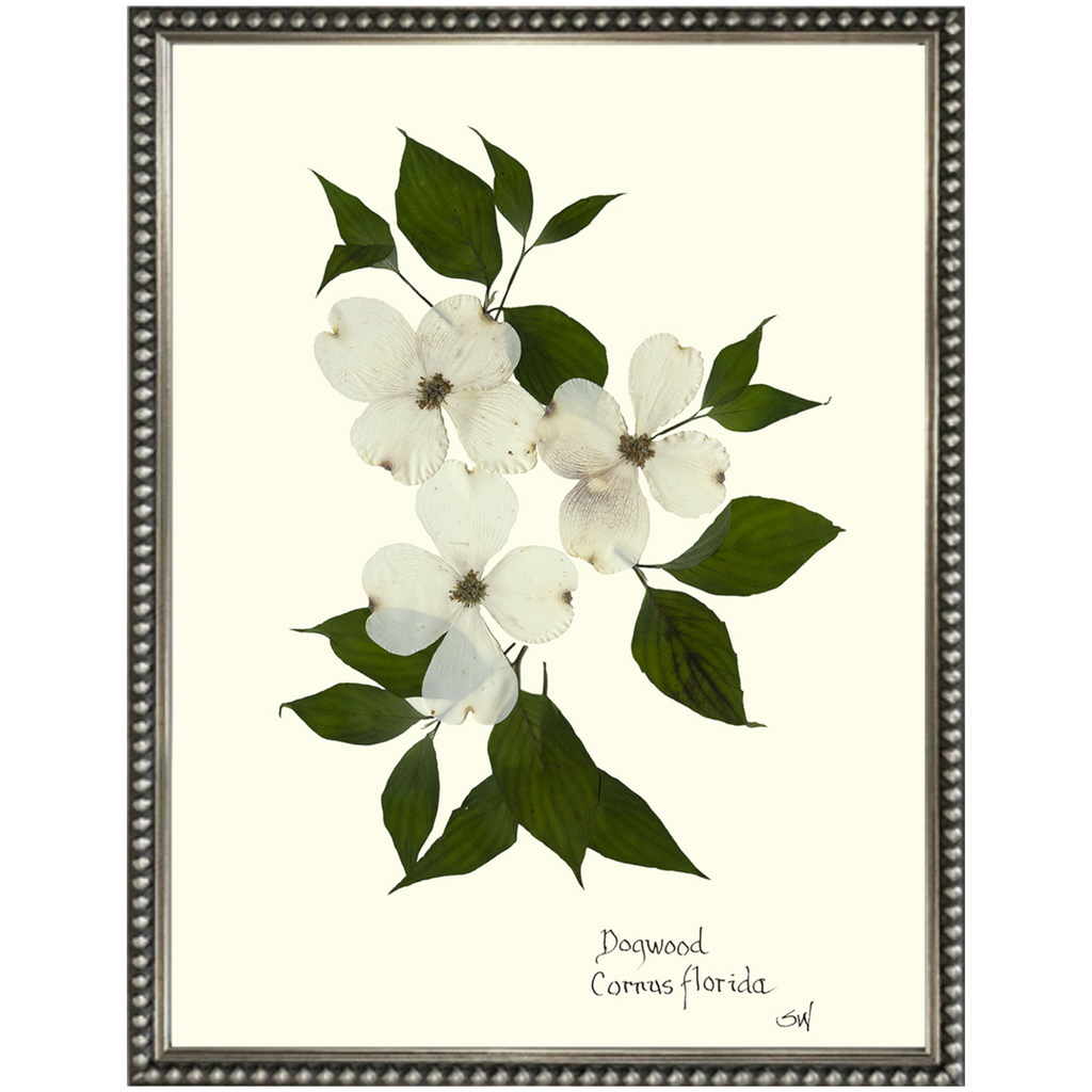 Dogwood-Silver Bead-Sea Green Designs