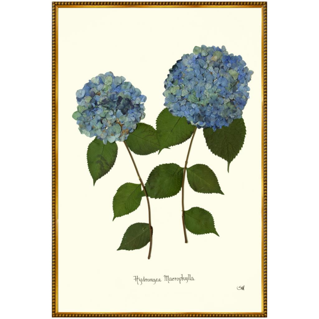 Double Blue Hydrangea-Gold Bead-Sea Green Design