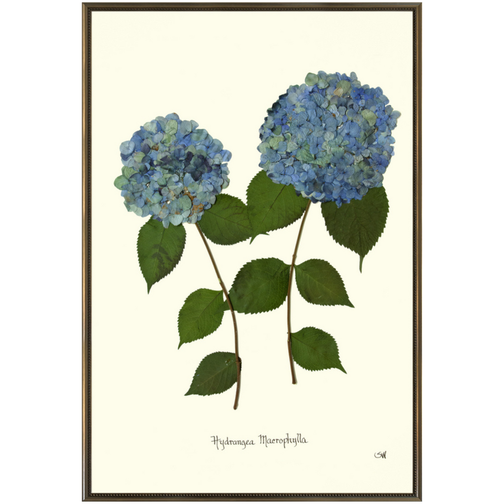 Double Blue Hydrangea-Silver Bead-Sea Green Design