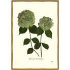 Double Green Hydrangea-Gold Bead-Sea Green Designs