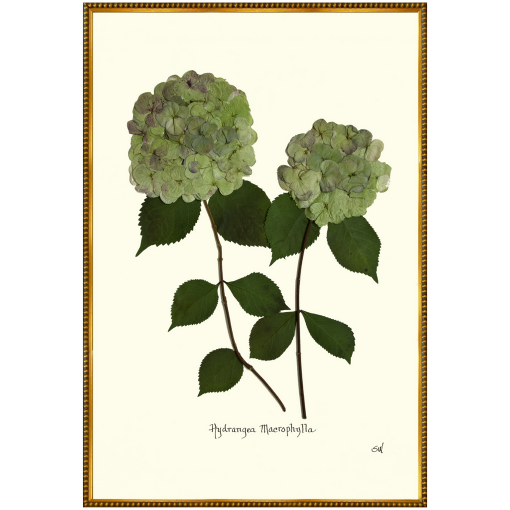 Double Green Hydrangea-Gold Bead-Sea Green Designs