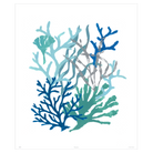 Corals Collection - Sea Green Designs