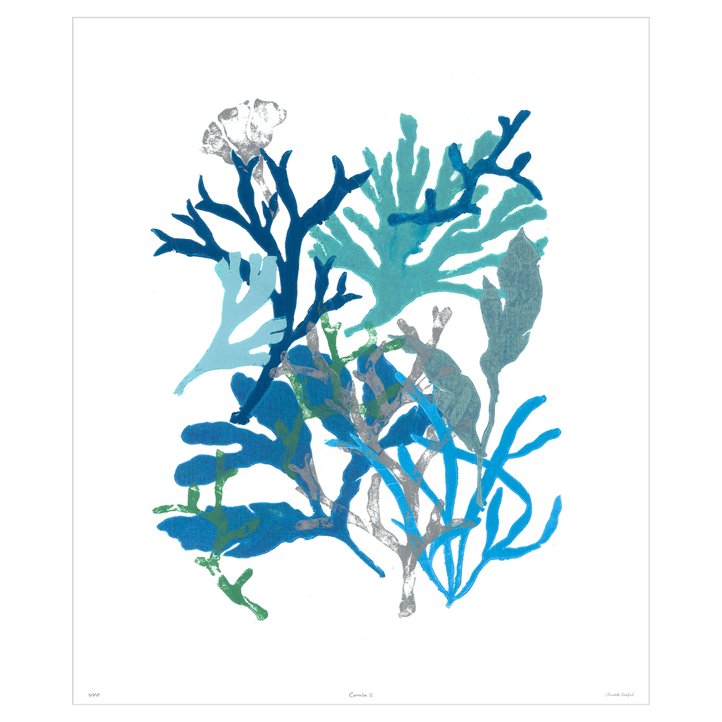 Corals Collection - Sea Green Designs