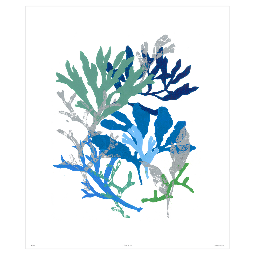 Corals Collection - Sea Green Designs