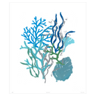 Corals Collection - Sea Green Designs