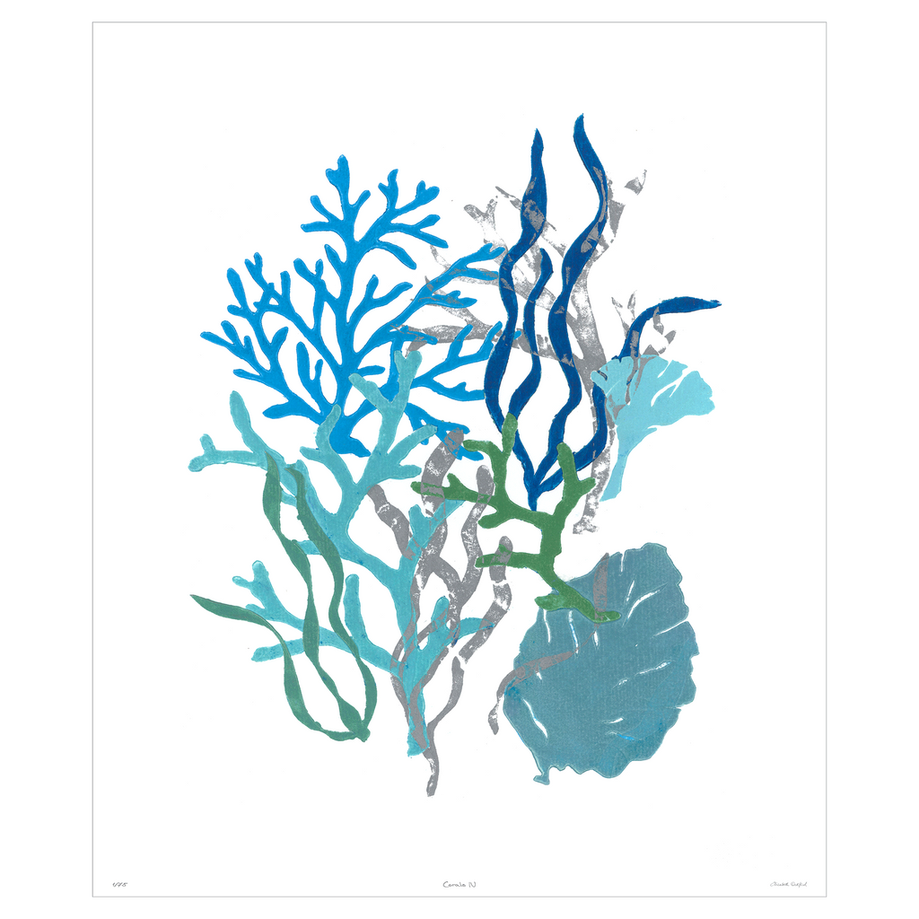 Corals Collection - Sea Green Designs