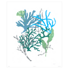 Corals Collection - Sea Green Designs