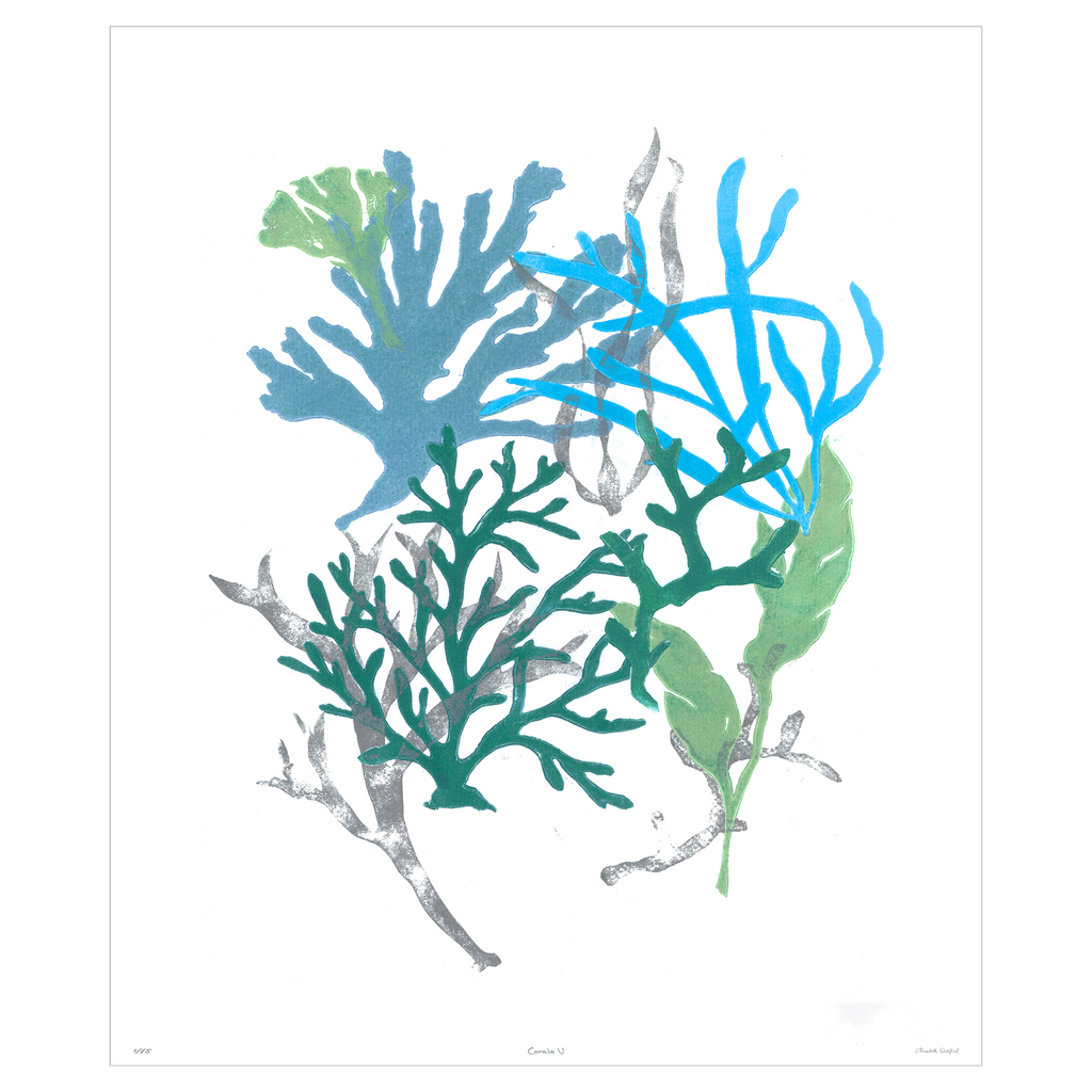 Corals Collection - Sea Green Designs