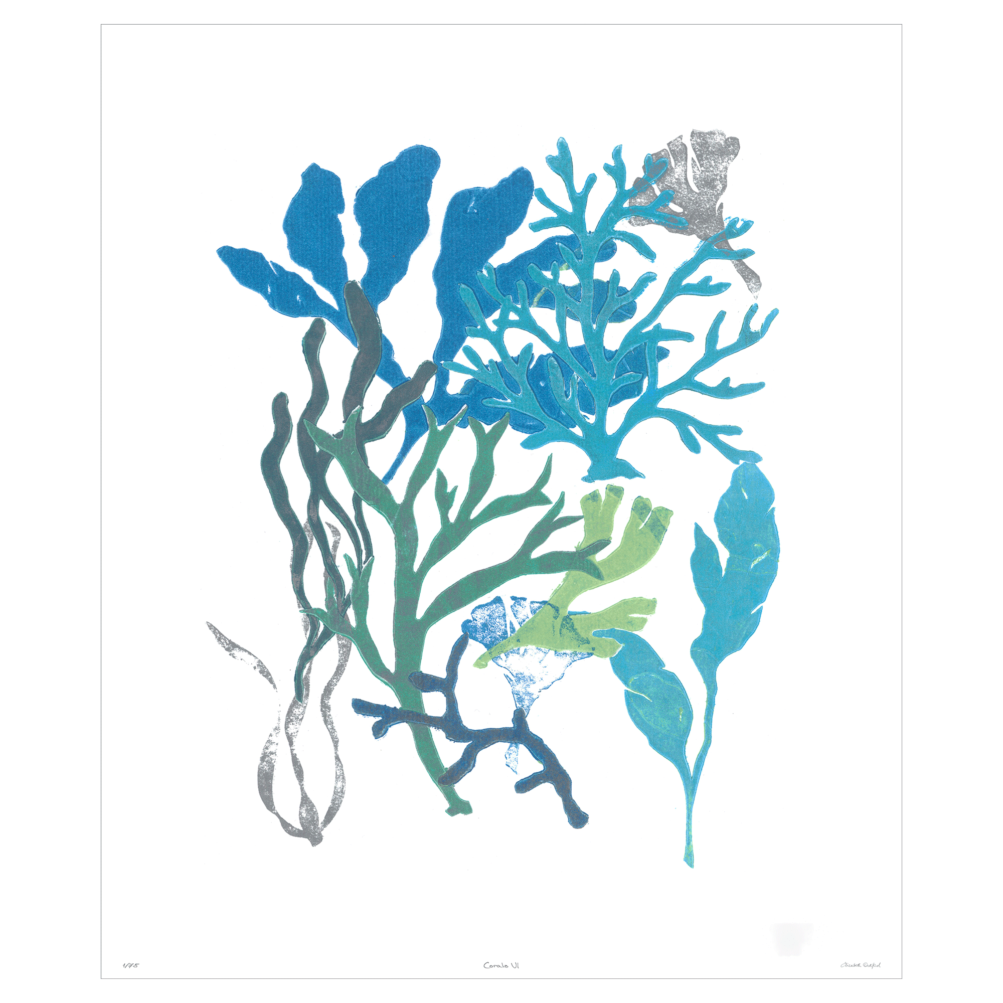 Corals Collection - Sea Green Designs