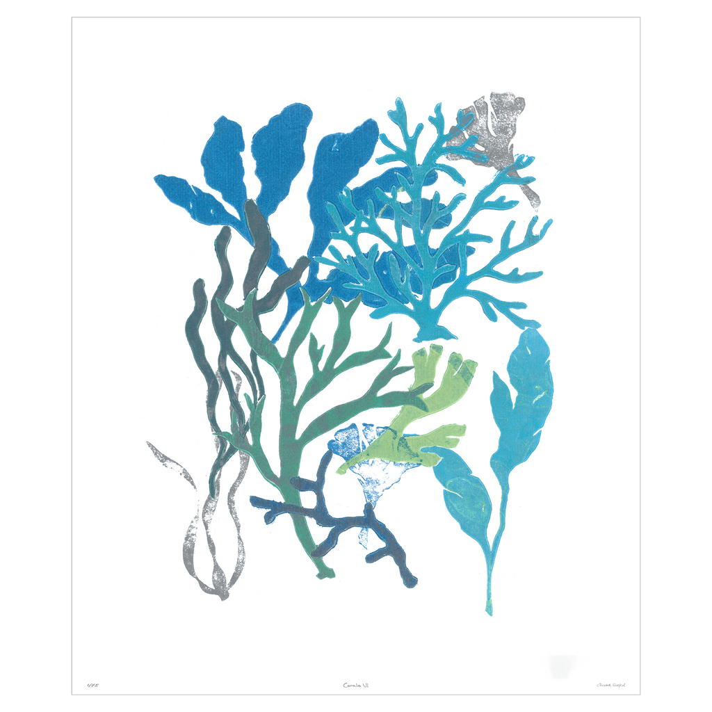 Corals Collection - Sea Green Designs