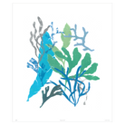 Corals Collection - Sea Green Designs