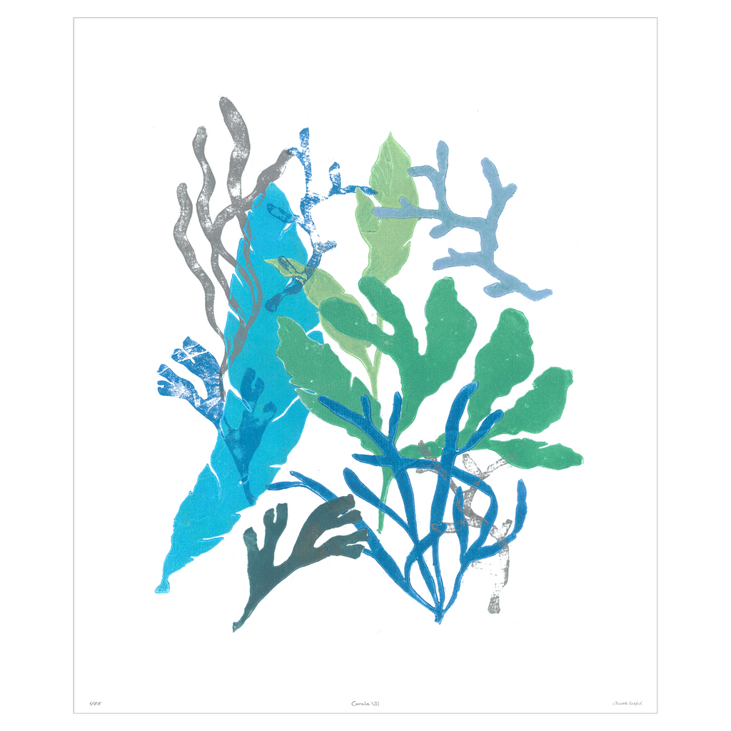 Corals Collection - Sea Green Designs