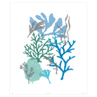 Corals Collection - Sea Green Designs