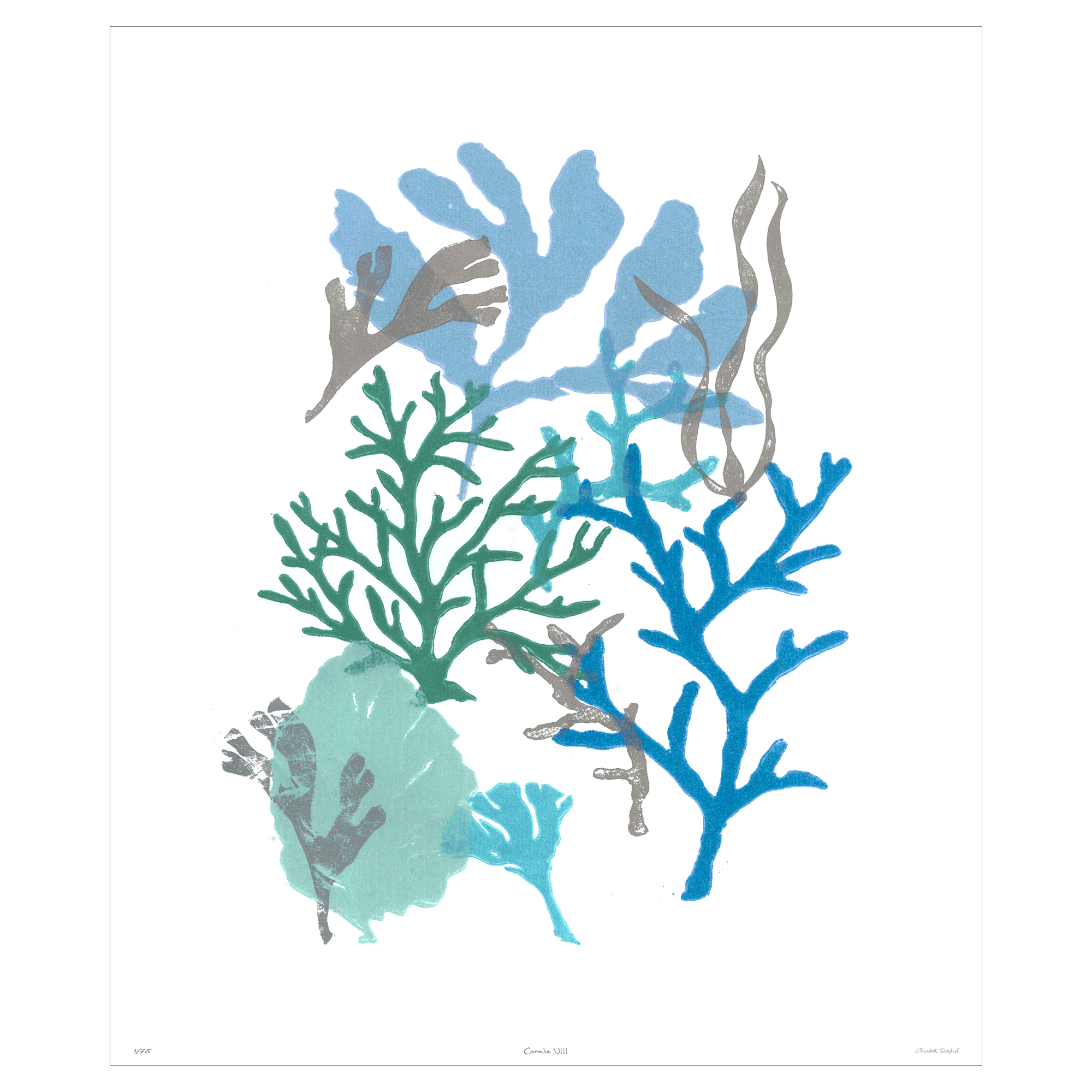 Corals Collection - Sea Green Designs