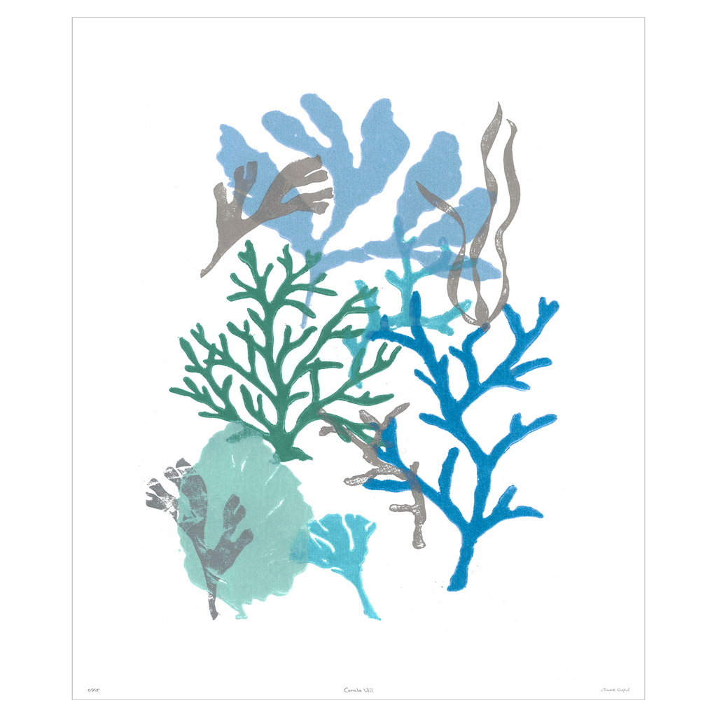 Corals Collection - Sea Green Designs
