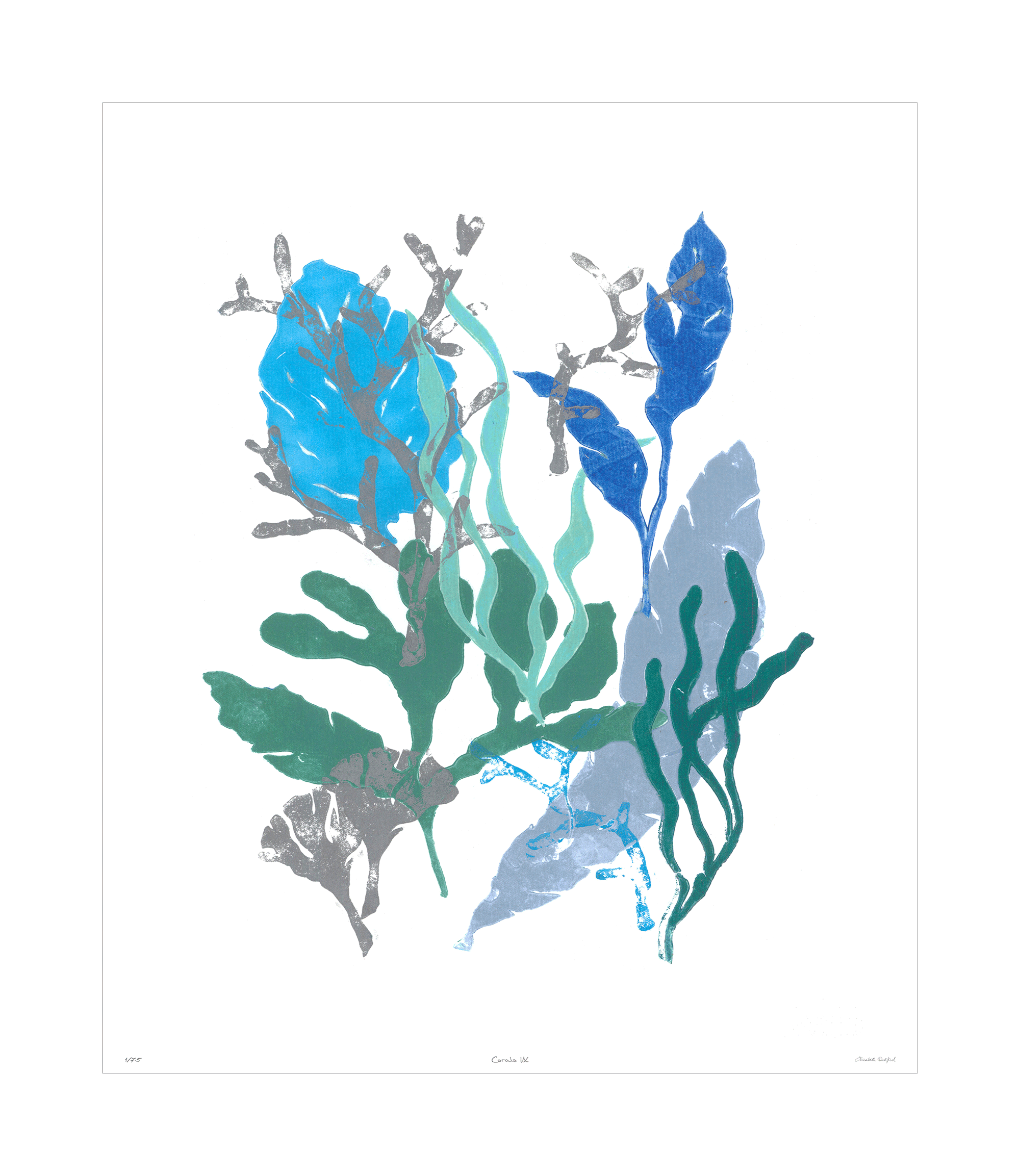 Corals Collection - Sea Green Designs