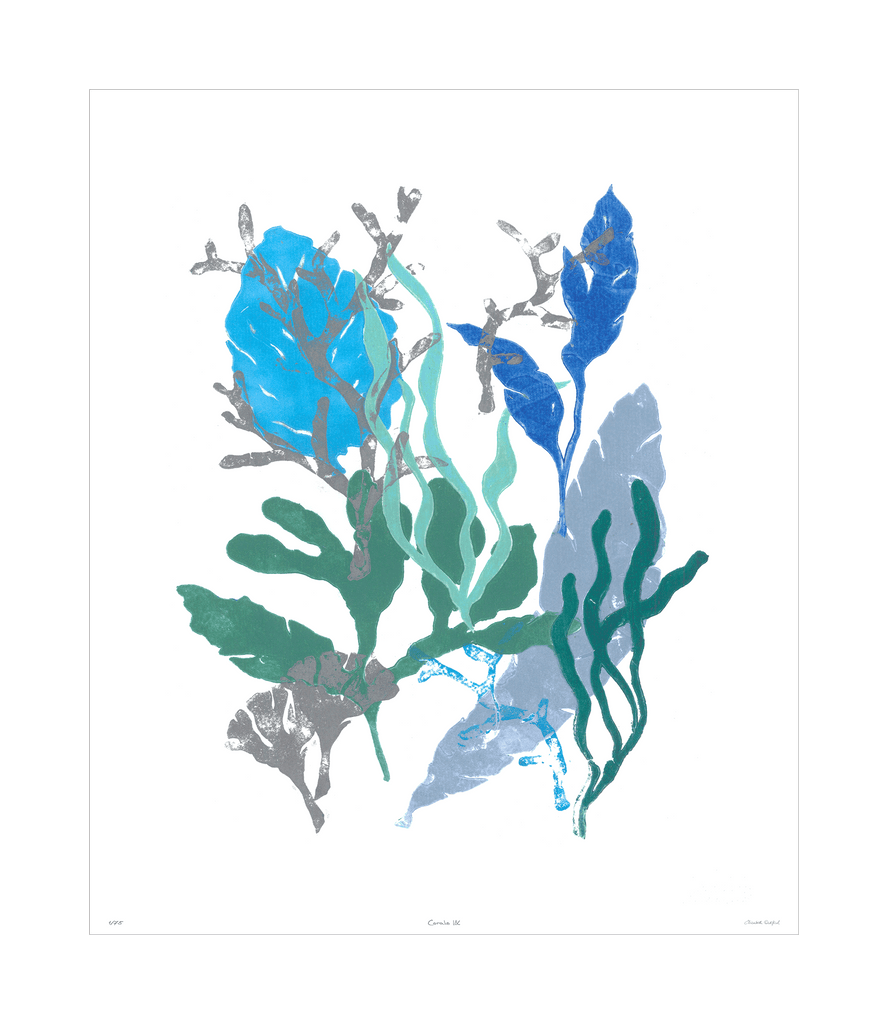 Corals Collection - Sea Green Designs