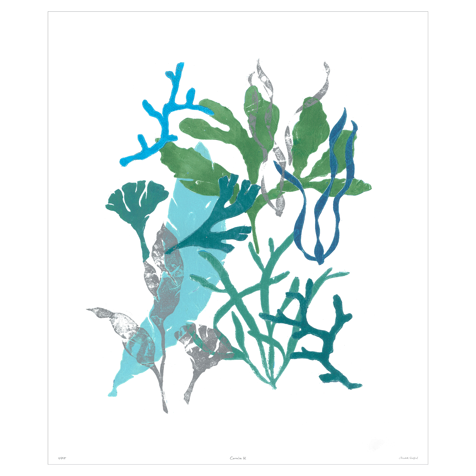 Corals Collection - Sea Green Designs