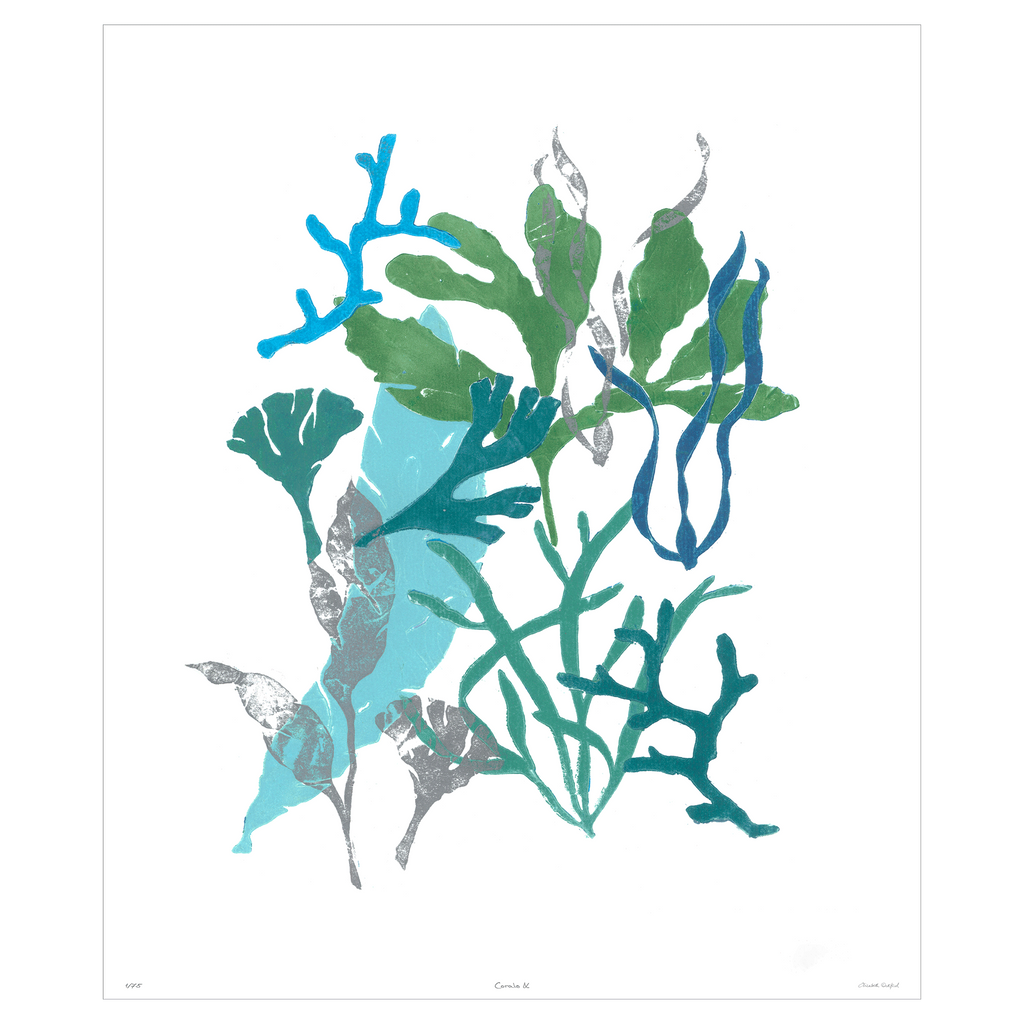 Corals Collection - Sea Green Designs