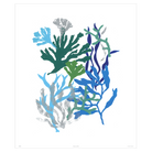Corals Collection - Sea Green Designs