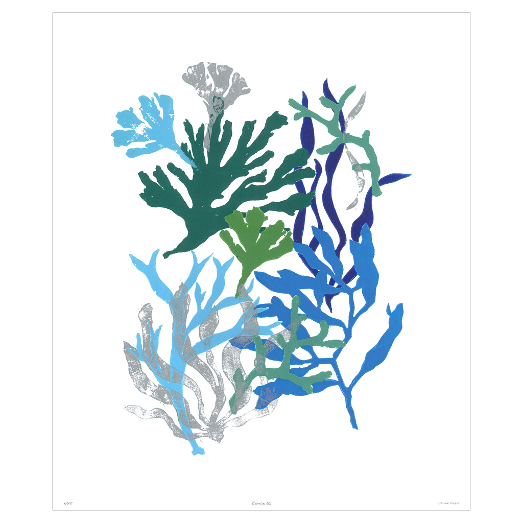 Corals Collection - Sea Green Designs