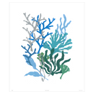 Corals Collection - Sea Green Designs