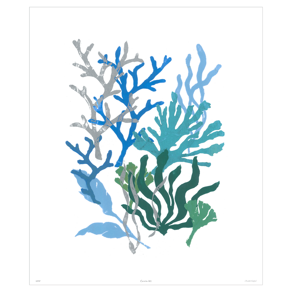 Corals Collection - Sea Green Designs
