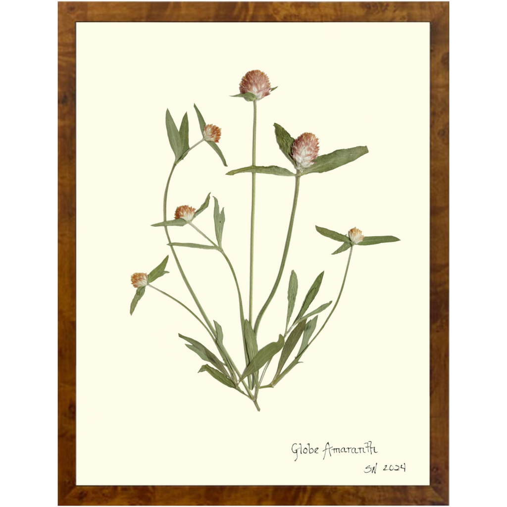 Globe Amaranth-Burlewood-Sea Green Designs