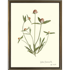 Globe Amaranth-Silver Bead-Sea Green Designs