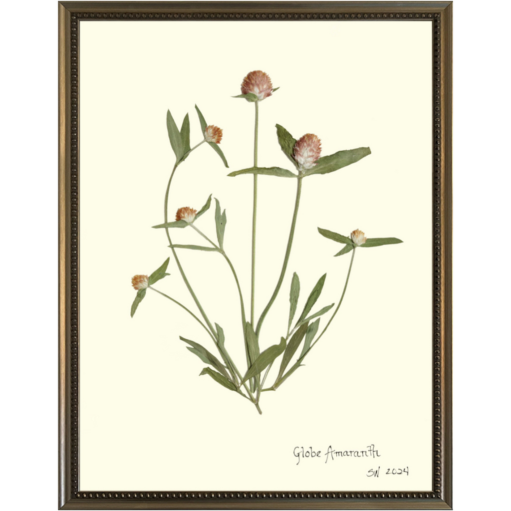 Globe Amaranth-Silver Bead-Sea Green Designs