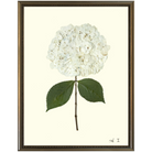 Hydrangea I-Silver Bead-Sea Green Designs