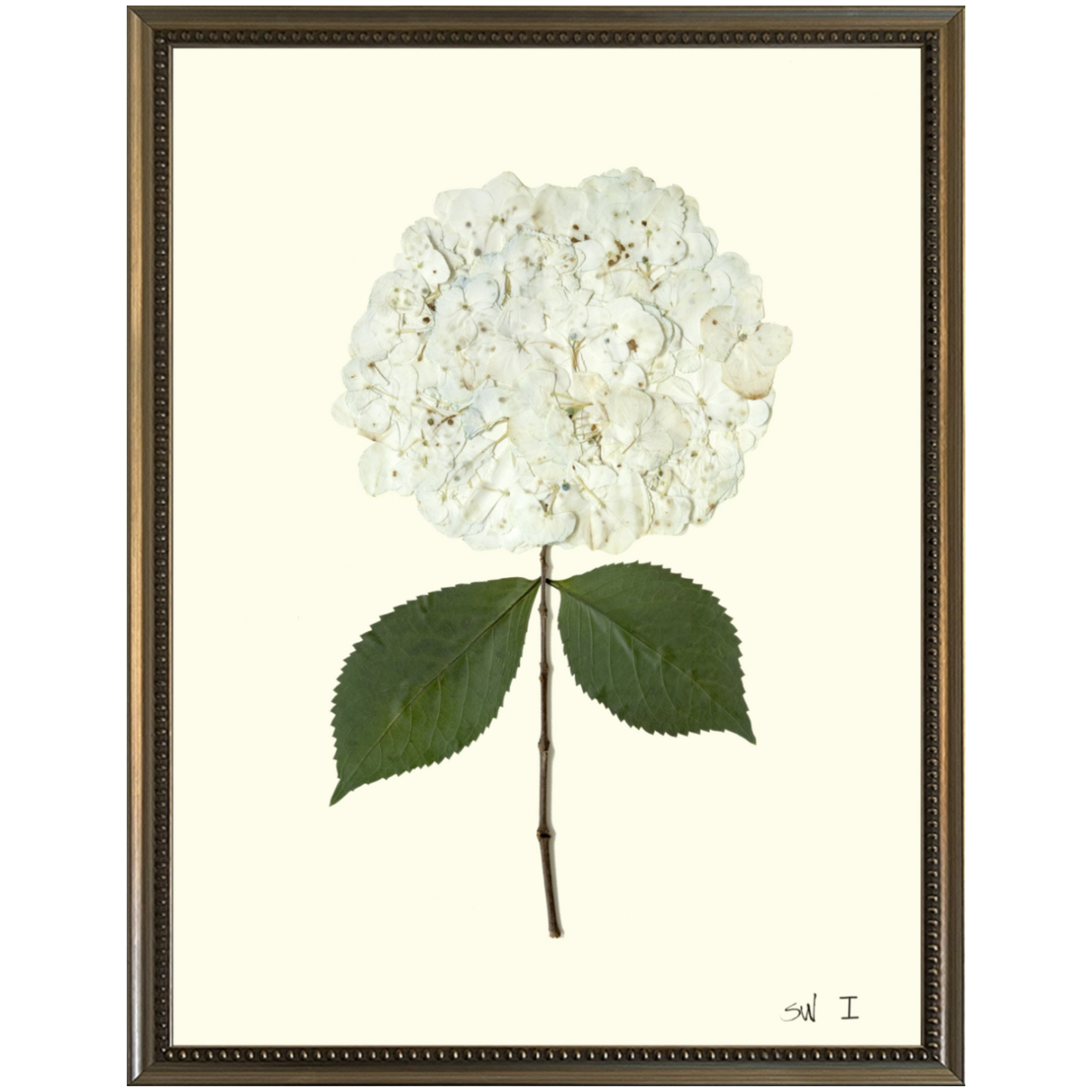 Hydrangea I-Silver Bead-Sea Green Designs