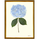 Hydrangea II-GoldBead-Sea Green Designs