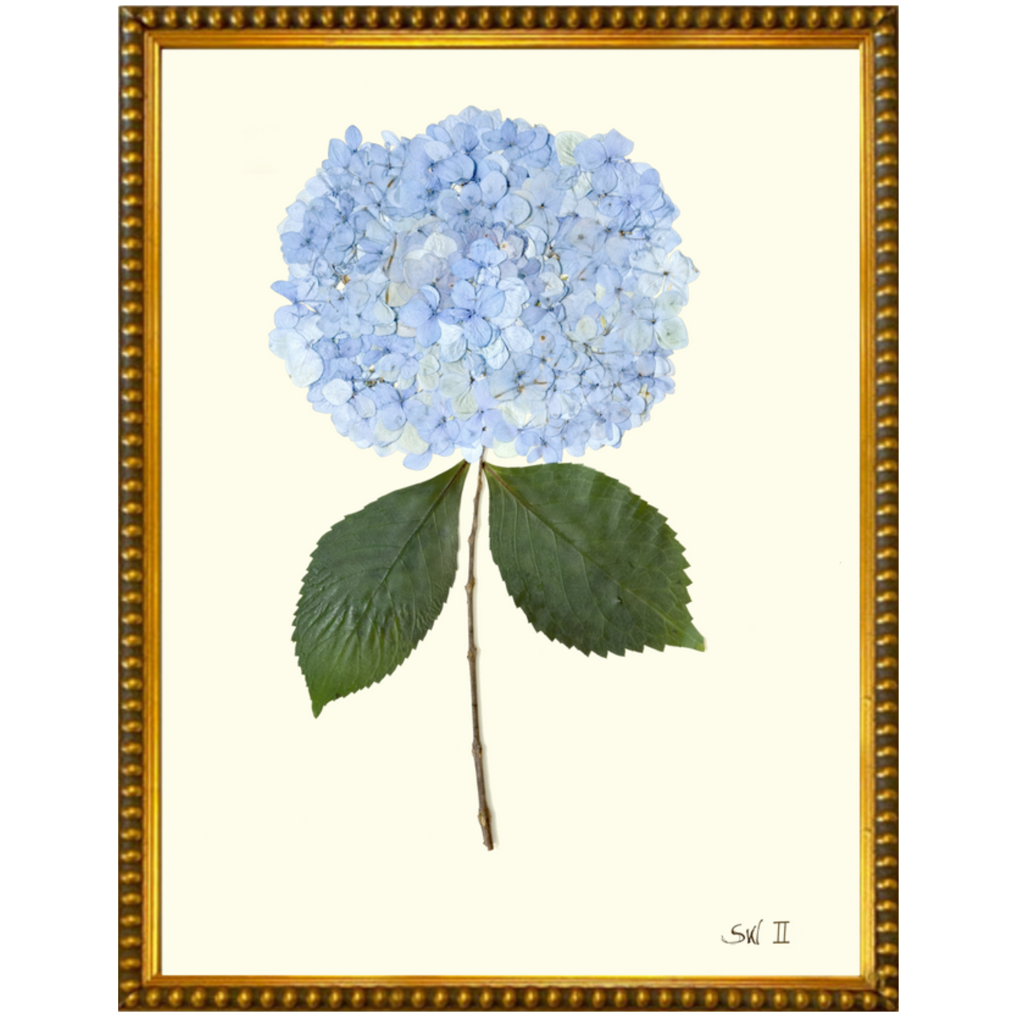 Hydrangea II-GoldBead-Sea Green Designs