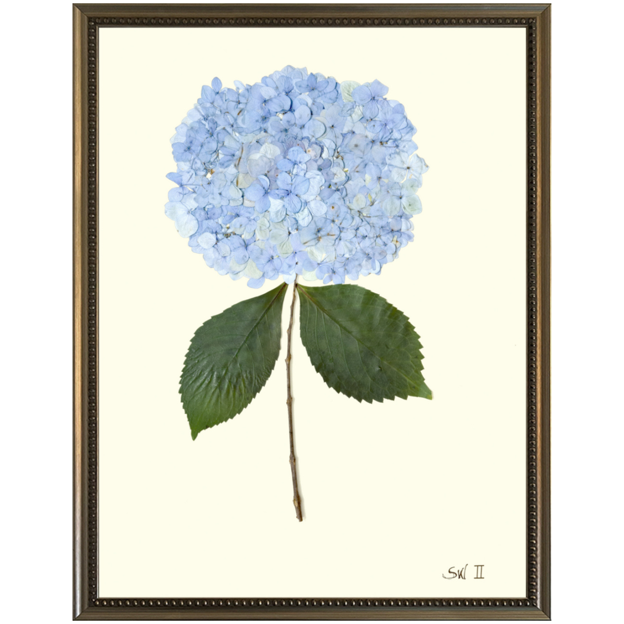 Hydrangea II-SilverBead-Sea Green Designs