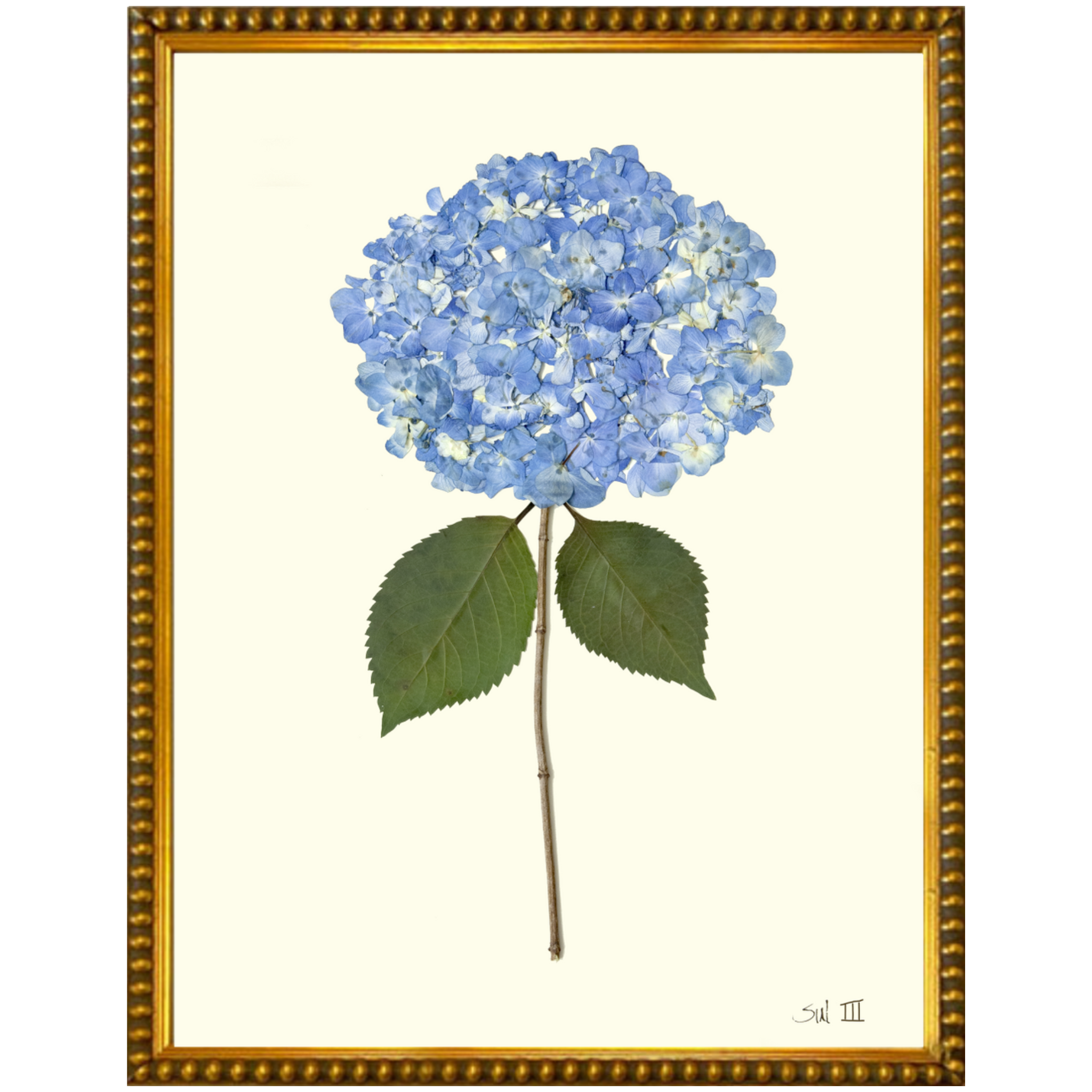 Hydrangea III-GoldBead-Sea Green Designs
