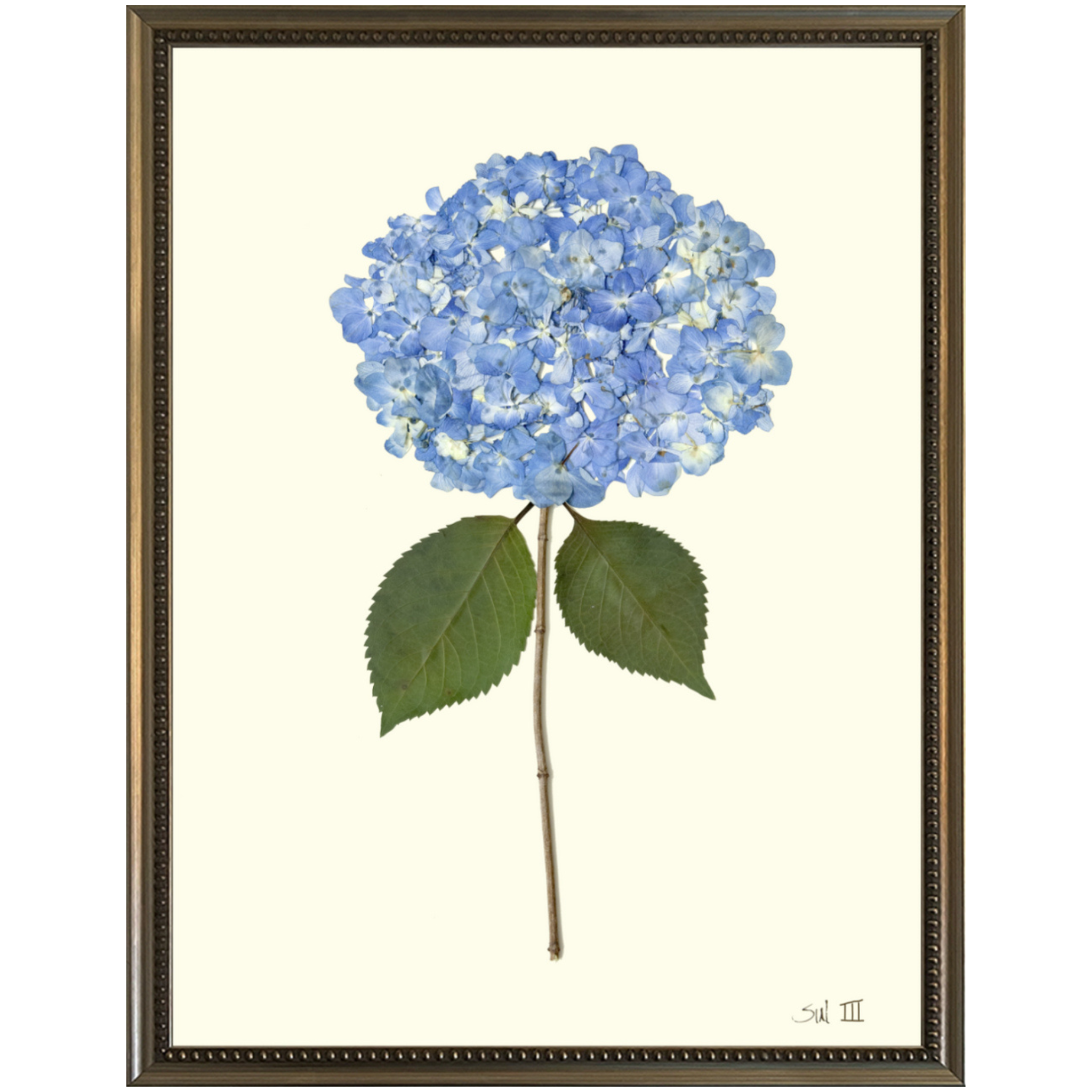 Hydrangea III-SilverBead-Sea Green Designs