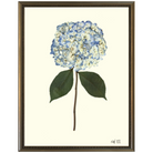 Hydrangea VIII-Silver Bead-Sea Green Designs