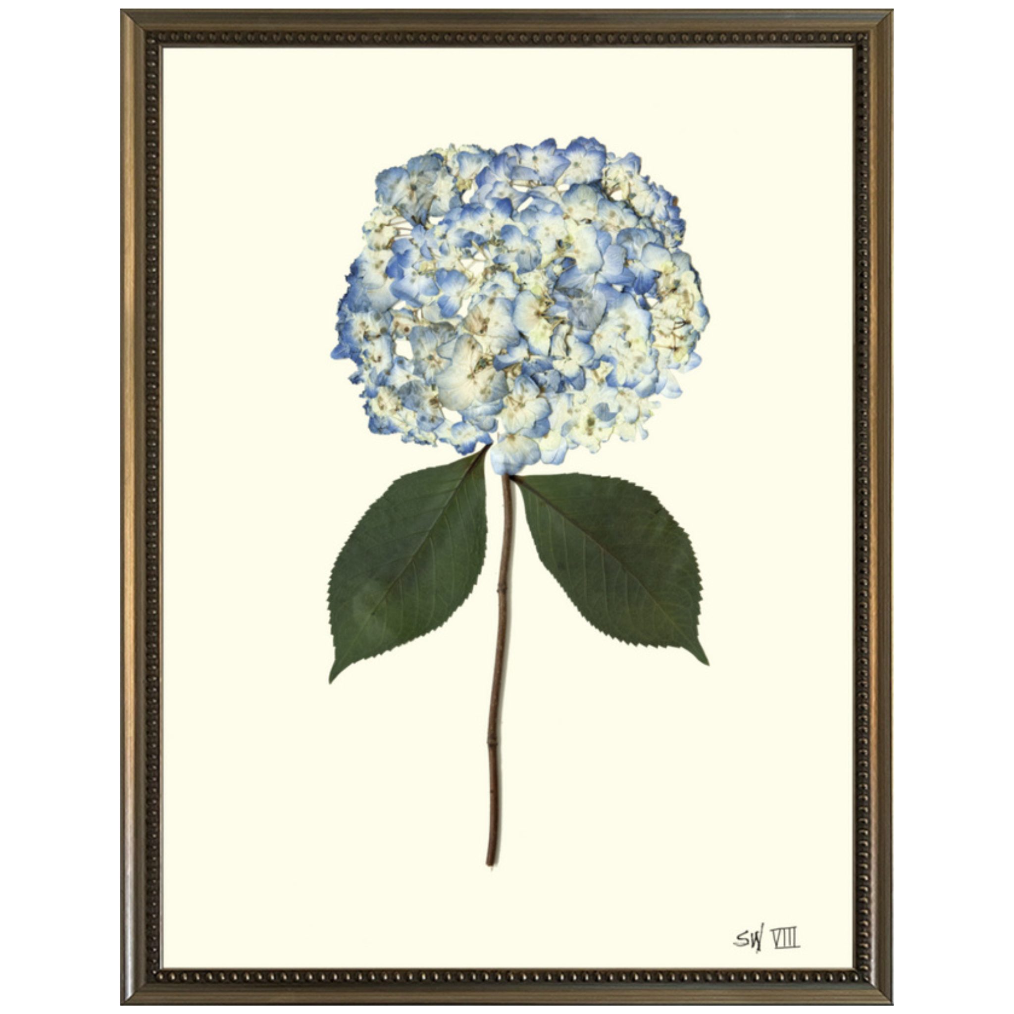 Hydrangea VIII-Silver Bead-Sea Green Designs