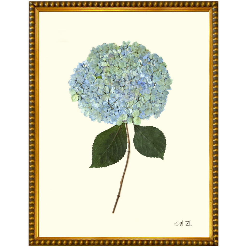 Hydrangea XI-Gold Bead-Sea Green Designs