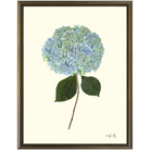 Hydrangea XI-Silver Bead-Sea Green Designs